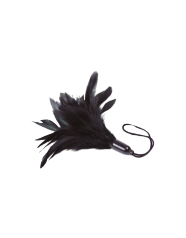 Adrien Lastic Feather Tickler Black - Prestiżowe Pióra