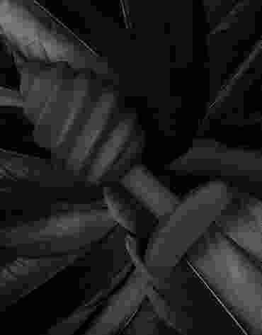 Gvibe Gplug Twist Mystic Noir