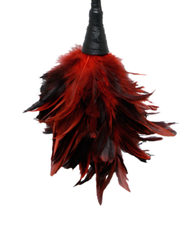 Pipedream Fetish Fantasy Series Frisky Feather Duster Red