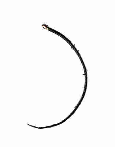 Skórzany pejcz w kształcie pędu róży z kolcami Zalo & Upko Leather Thorn Whip