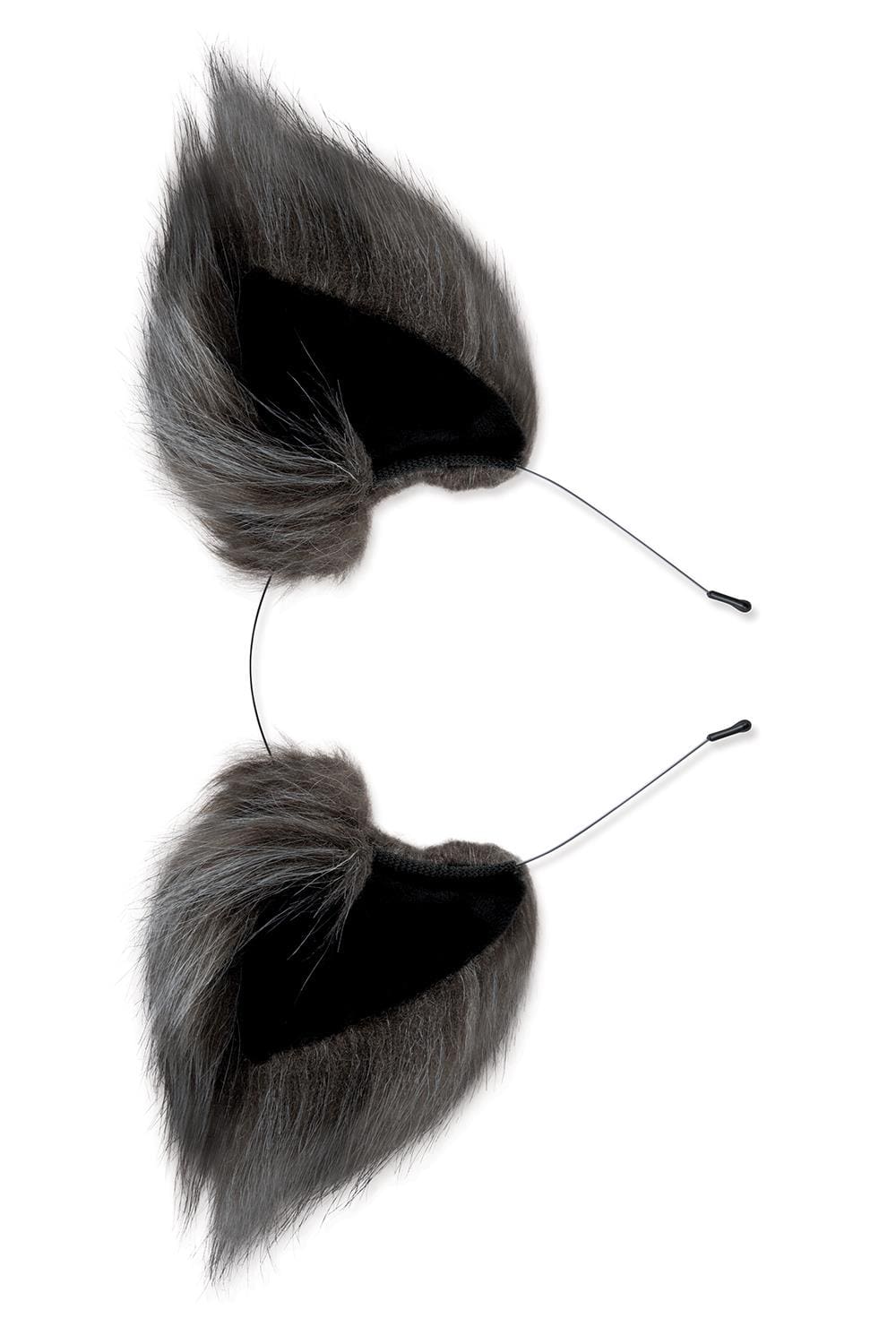 Zestaw Lis Korek Analny I Uszy Plug Grey Fox Tail Set Whipsmart 5 Zestaw Lis Korek Analny I Uszy Plug Grey Fox Tail Set Whipsmart
