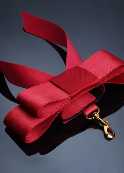 Pasy Do Łózka Bowknot Bed Restraint Straps UPKO