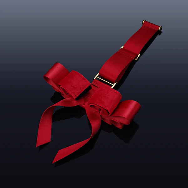 Portable Bowknot Over-The-Door Hand Restraint Gear UPKO 6 Portable Bowknot Over-The-Door Hand Restraint Gear UPKO