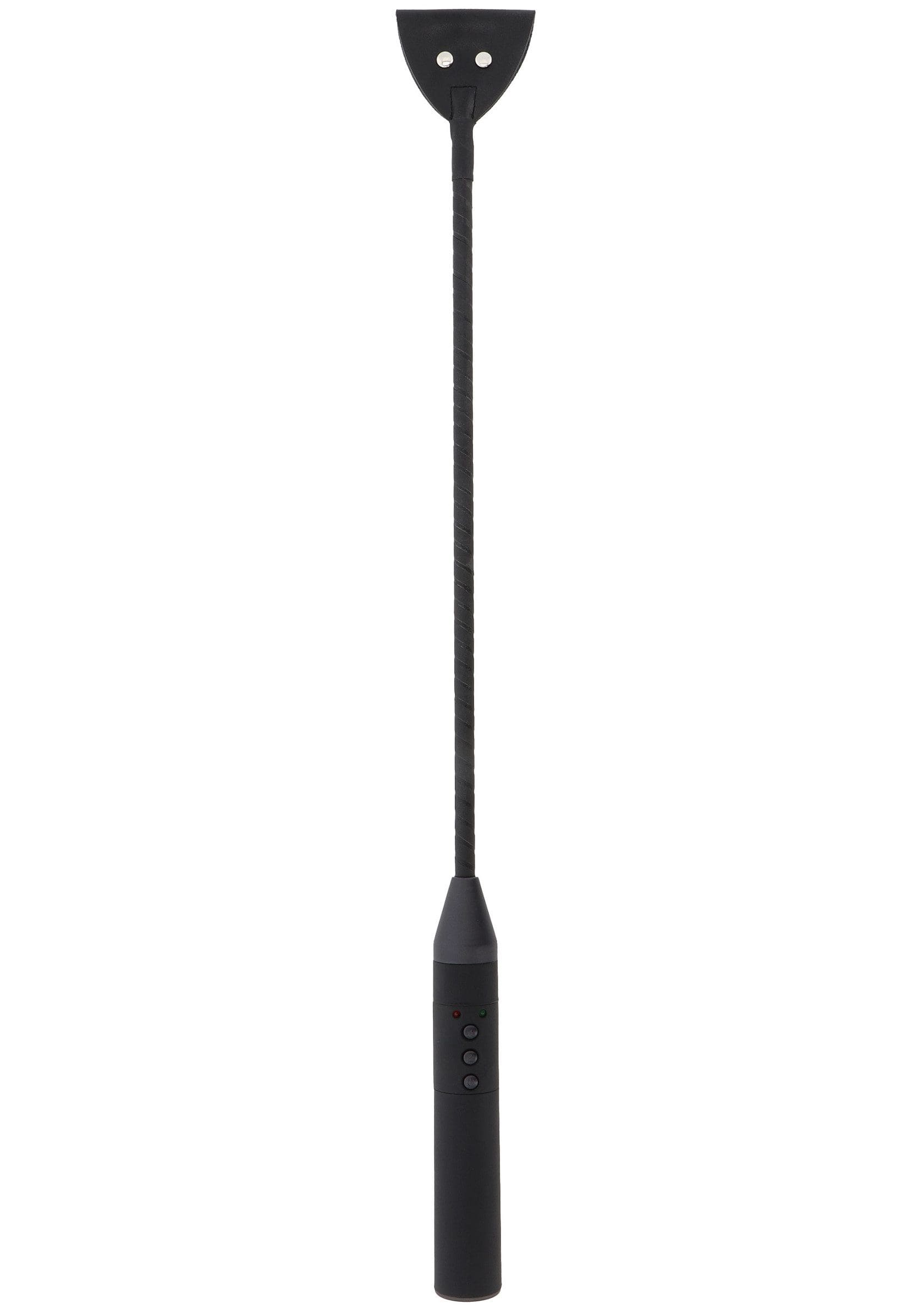 Extreme Electro Riding Crop Hidden Desire 4 Extreme Electro Riding Crop Hidden Desire