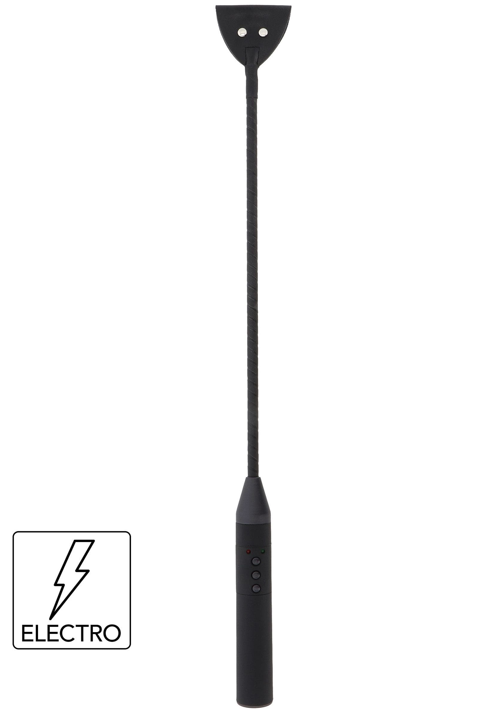 Extreme Electro Riding Crop Hidden Desire 5 Extreme Electro Riding Crop Hidden Desire