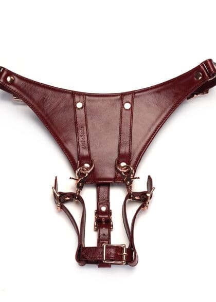 Wine Red Delux Strap On Forced Orgasm Harness Belt Liebe Seele