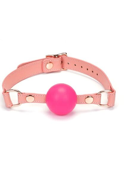 Knebel Pink Dream Ball Gag Liebe Seele