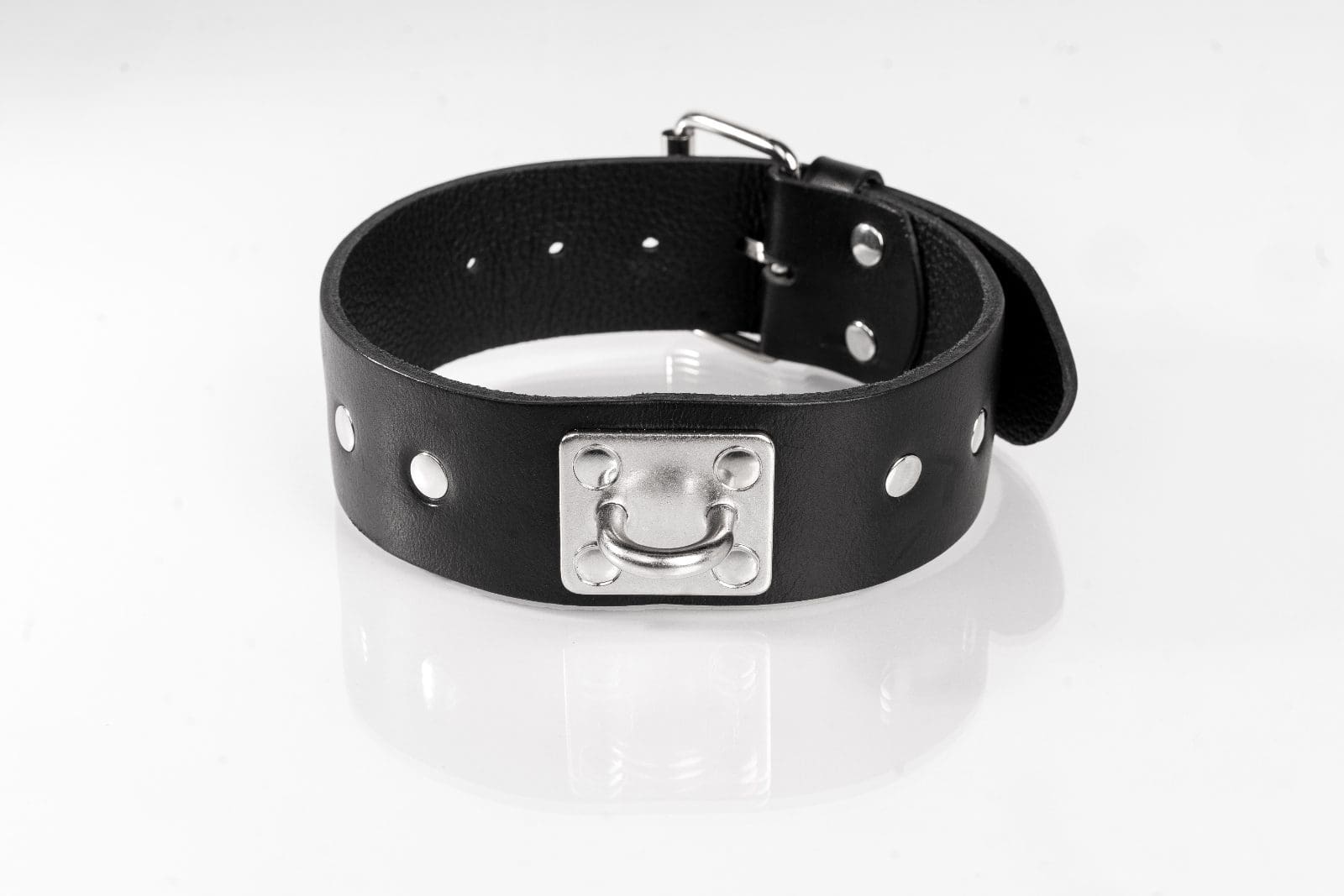 Obroża z ćwiekami czarna L Primal Bond Whips